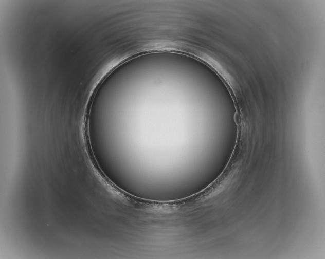 X0000110320901200905211524