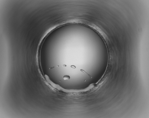 X0000110320902200905211524