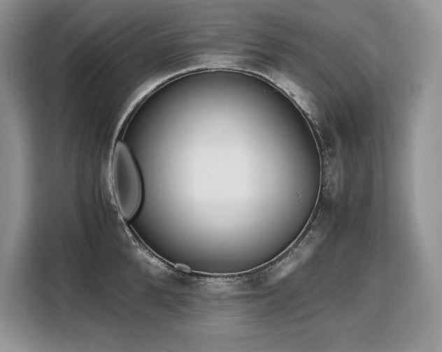 X0000110320904200905211524