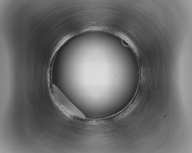X0000110320906200905211524