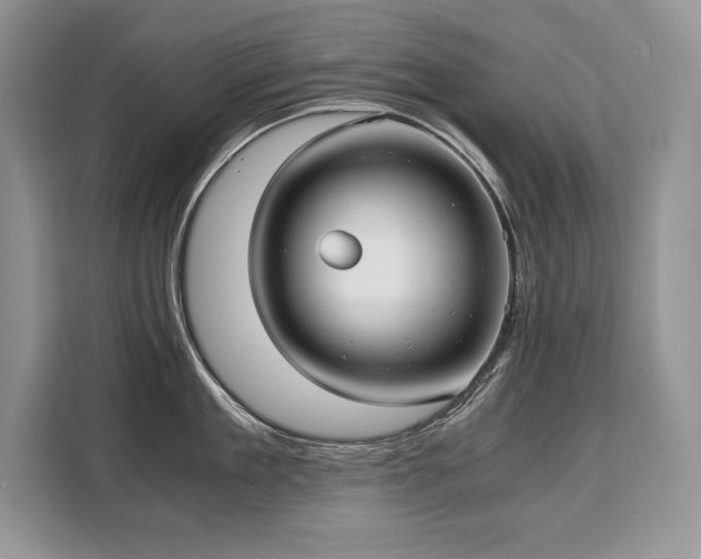 X0000110320909200905211524