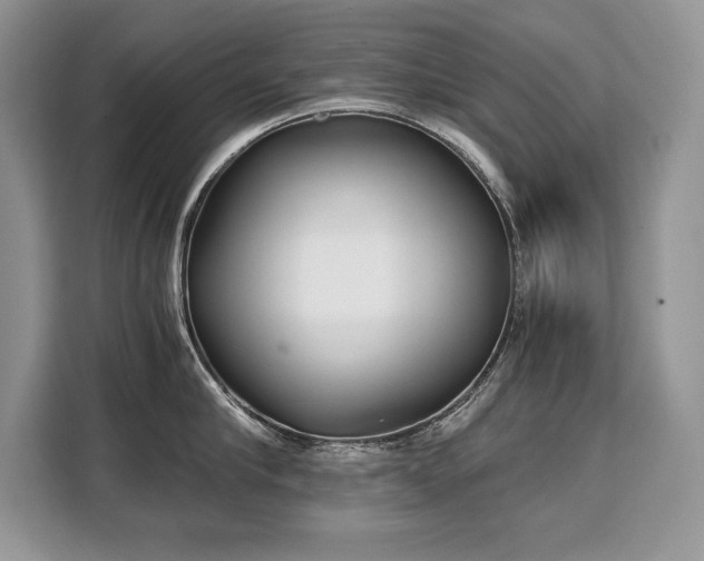 X0000110320910200905211524