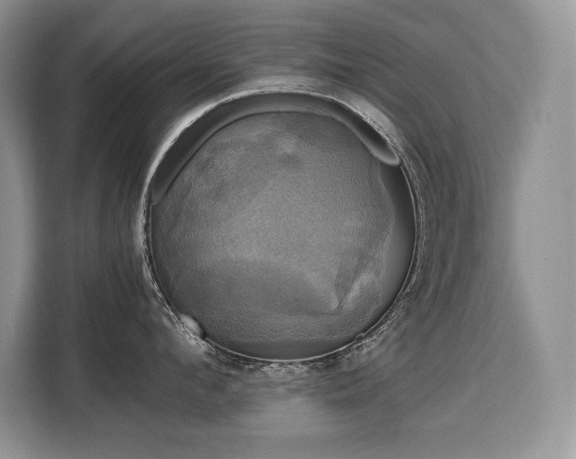 X0000110320912200905211524