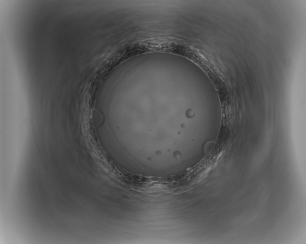X0000110320913200905211523