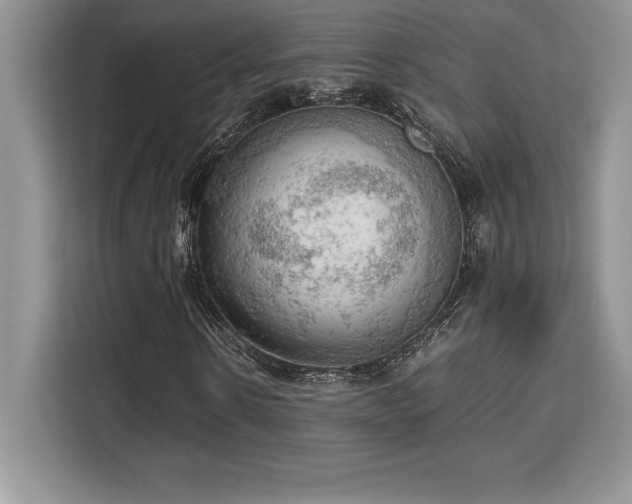X0000110320914200905211523