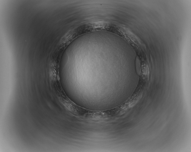 X0000110320916200905211523