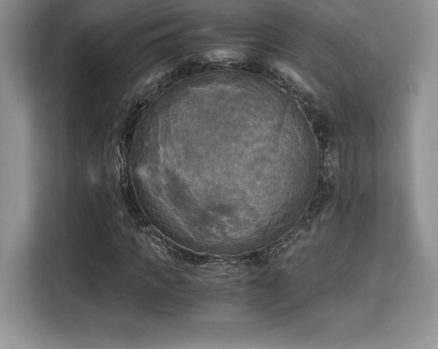 X0000110320917200905211523