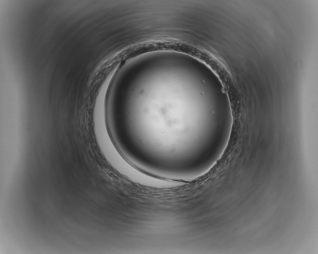 X0000110320920200905211523