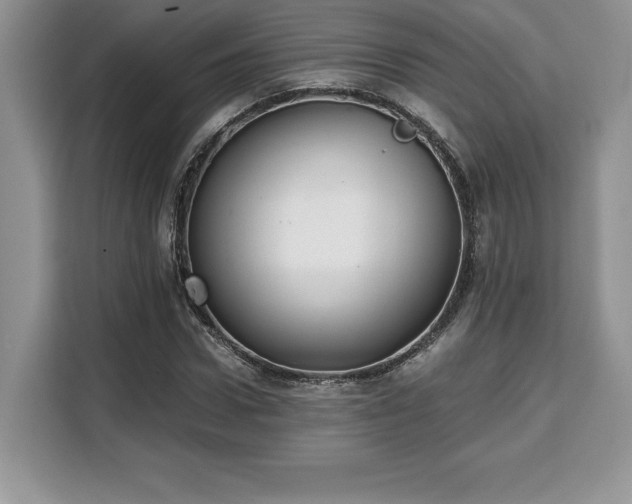 X0000110320922200905211523