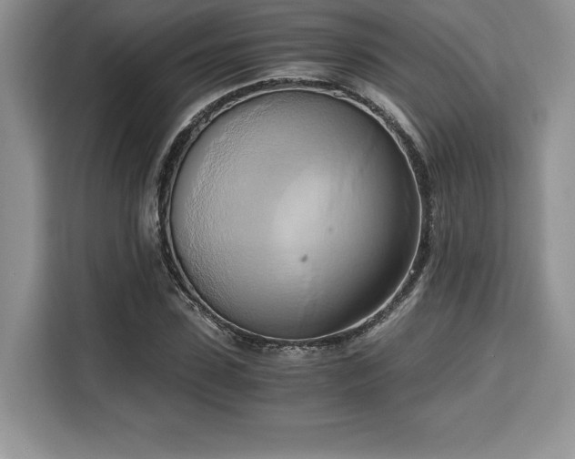 X0000110320923200905211523