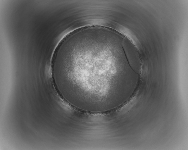X0000110320924200905211523