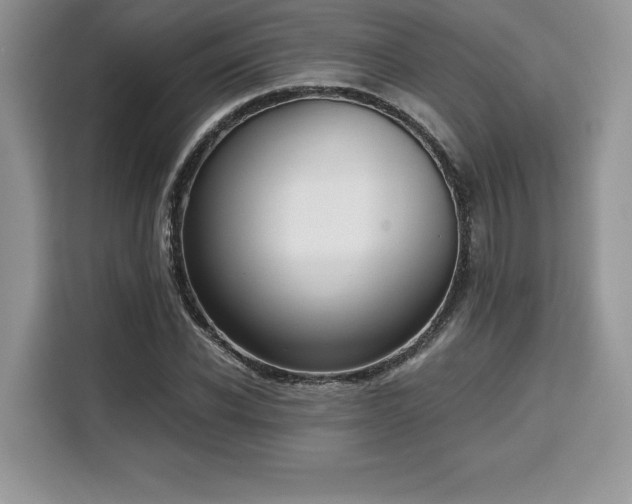 X0000110320926200905211523