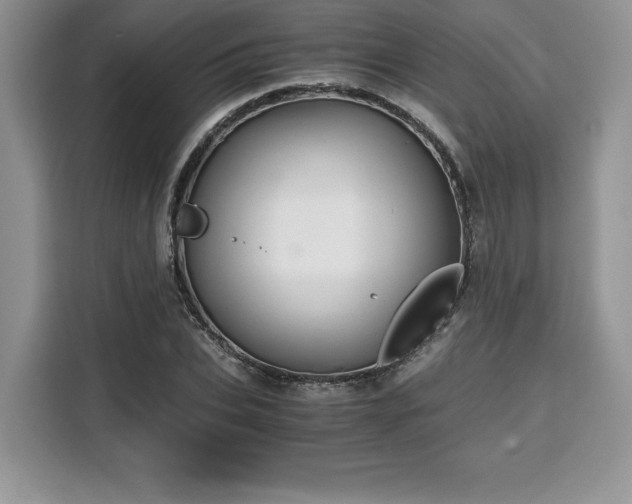 X0000110320927200905211523