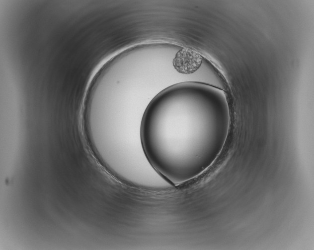 X0000110320928200905211523
