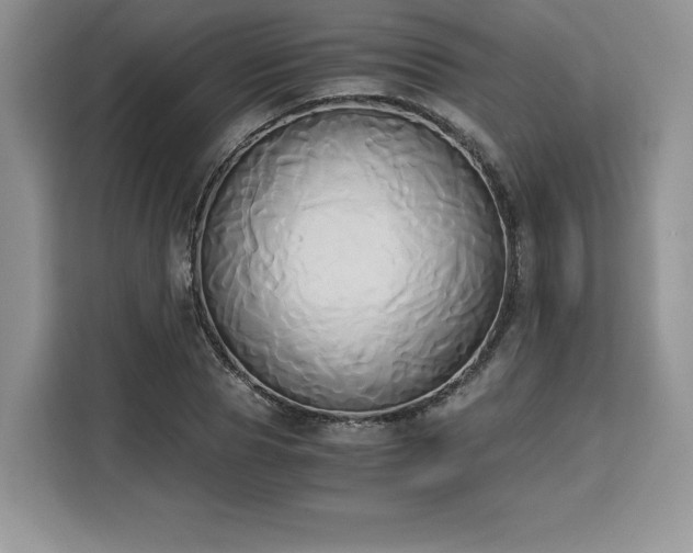 X0000110320929200905211523