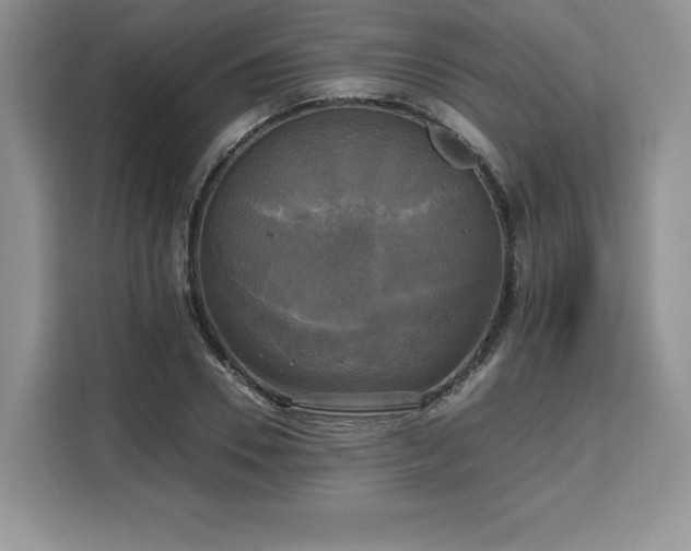 X0000110320930200905211523