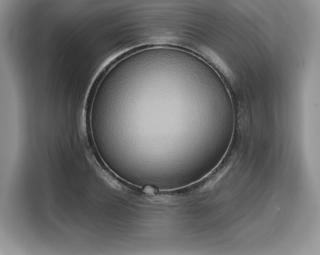 X0000110320932200905211523