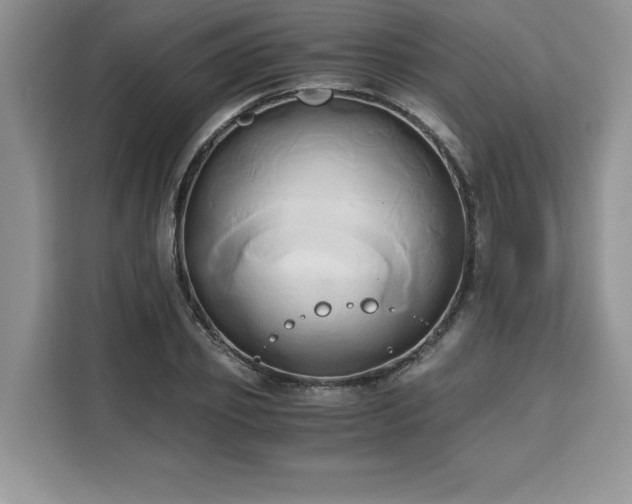 X0000110320933200905211523
