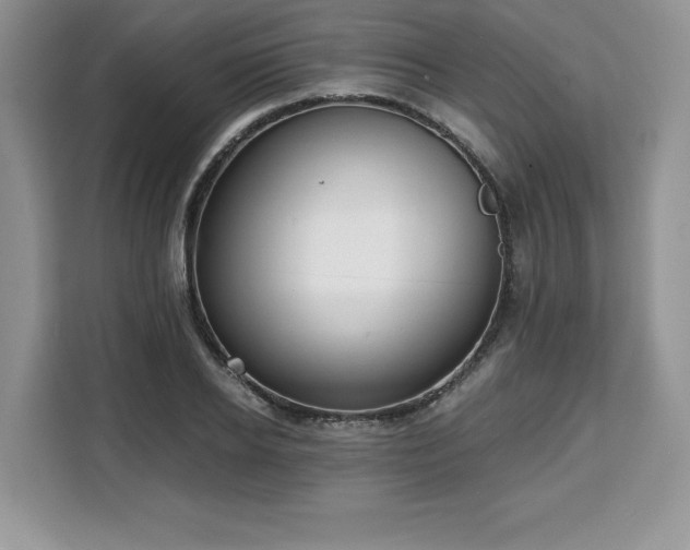 X0000110320934200905211523