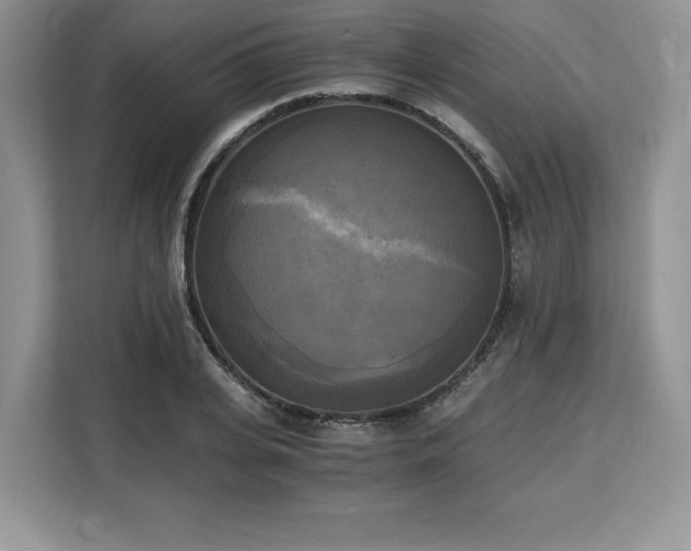X0000110320935200905211523