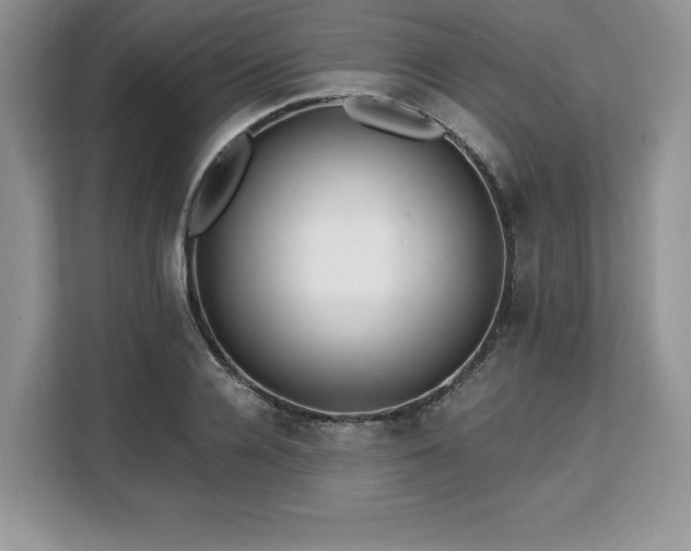 X0000110320936200905211523