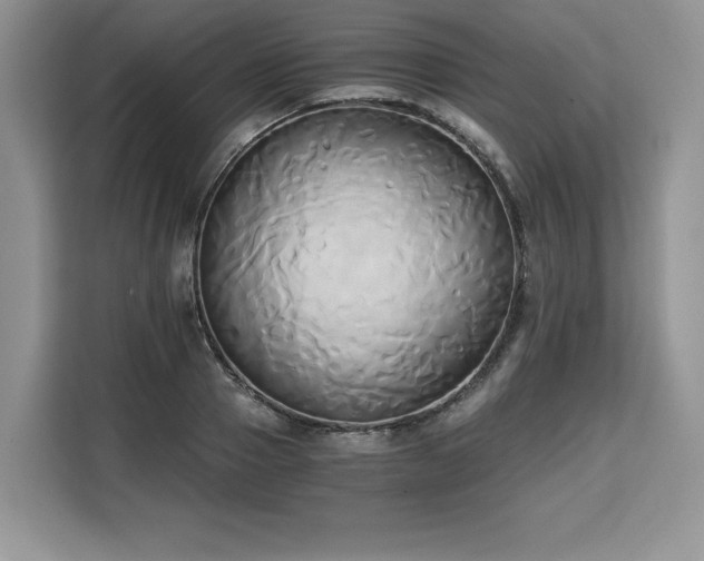 X0000110320937200905211523