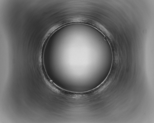X0000110320938200905211523