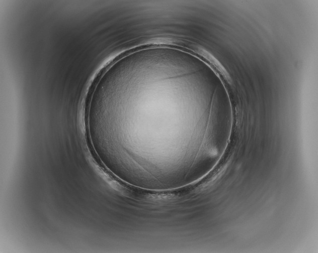 X0000110320939200905211523