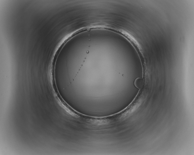 X0000110320941200905211523