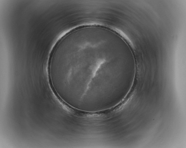 X0000110320943200905211523