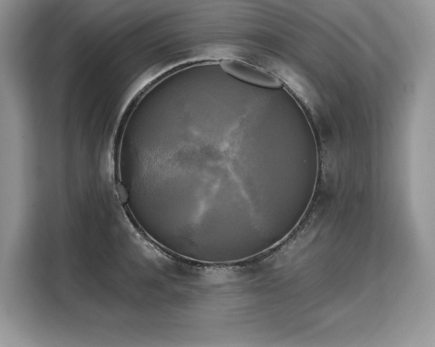 X0000110320944200905211523