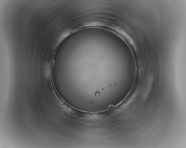 X0000110320945200905211523