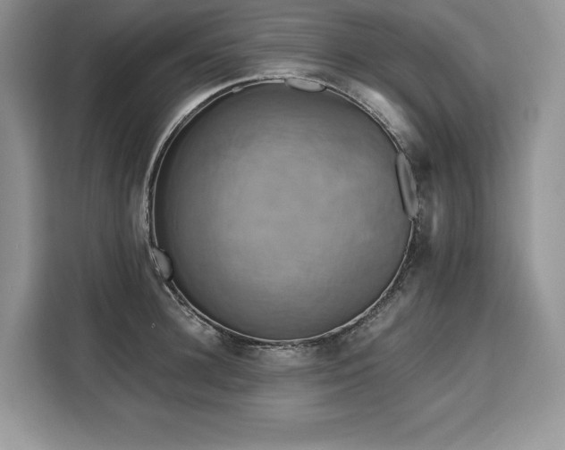 X0000110320948200905211523
