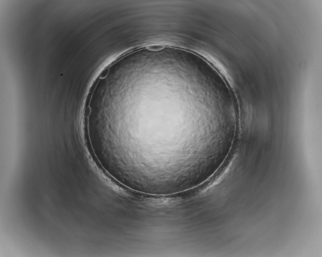 X0000110320949200905211523