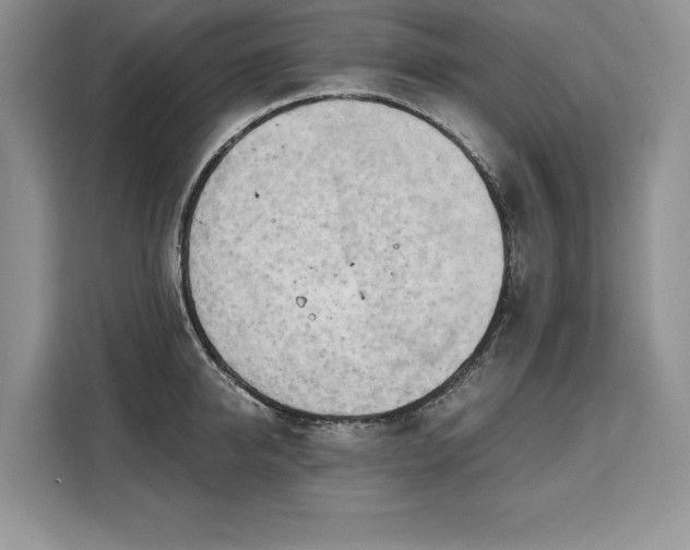X0000110320950200905211524