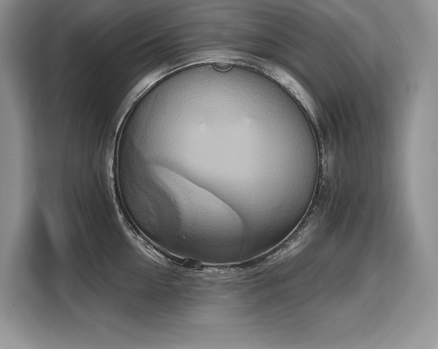 X0000110320954200905211524