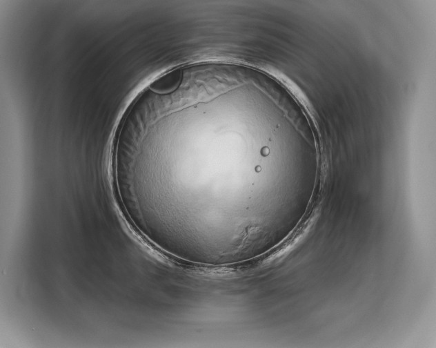 X0000110320957200905211524