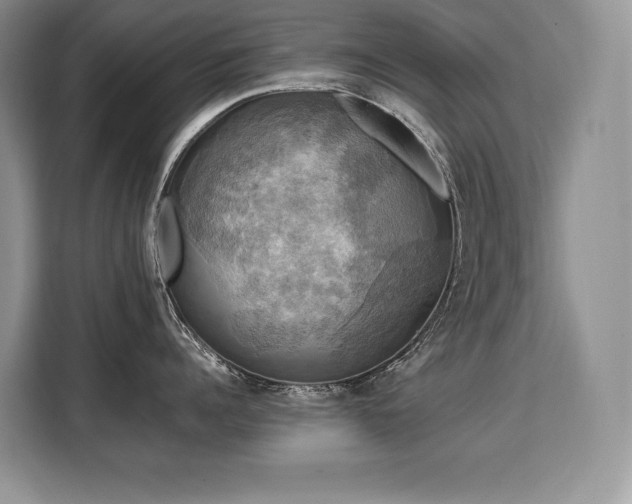 X0000110320960200905211524