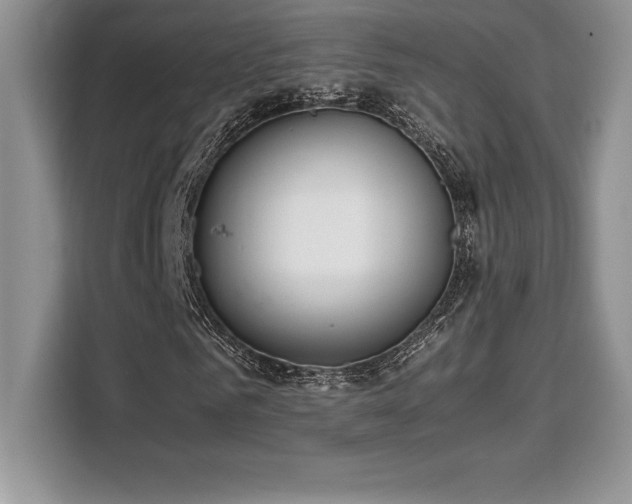 X0000110320961200905211523