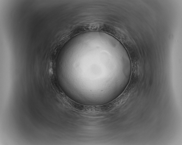 X0000110320962200905211523