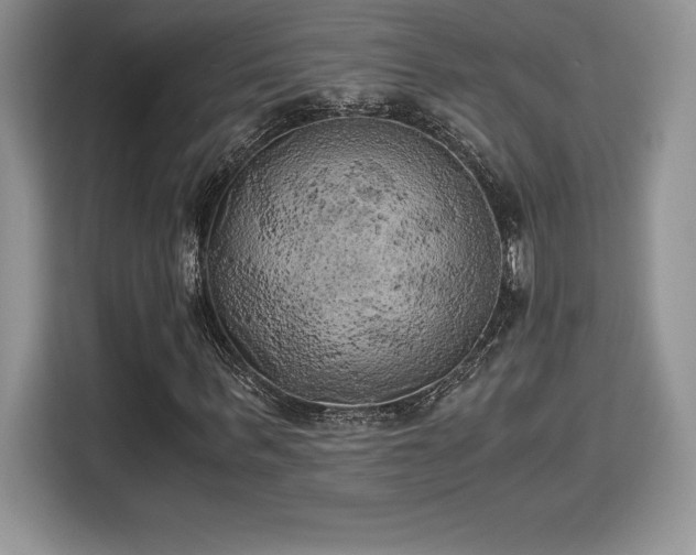 X0000110320963200905211523