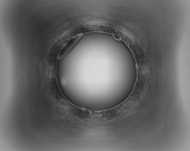 X0000110320965200905211523