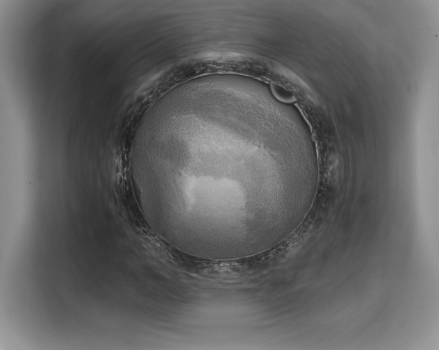 X0000110320966200905211523