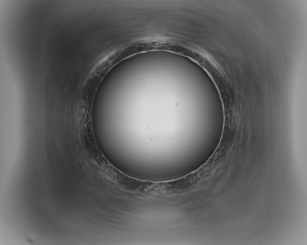 X0000110320967200905211523