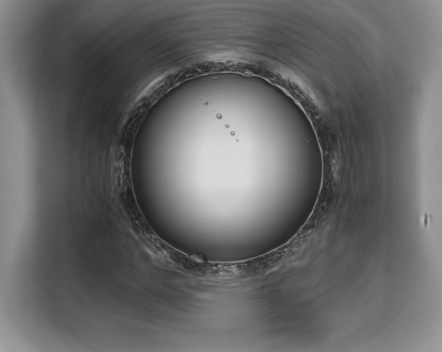 X0000110320968200905211523