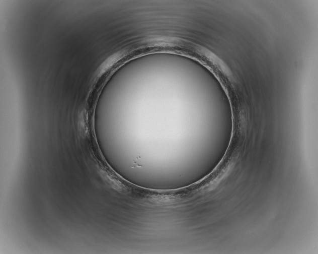 X0000110320970200905211523