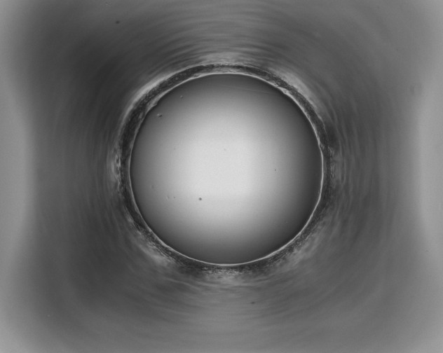 X0000110320971200905211523
