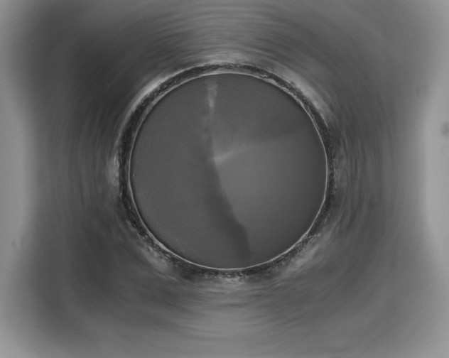 X0000110320975200905211523