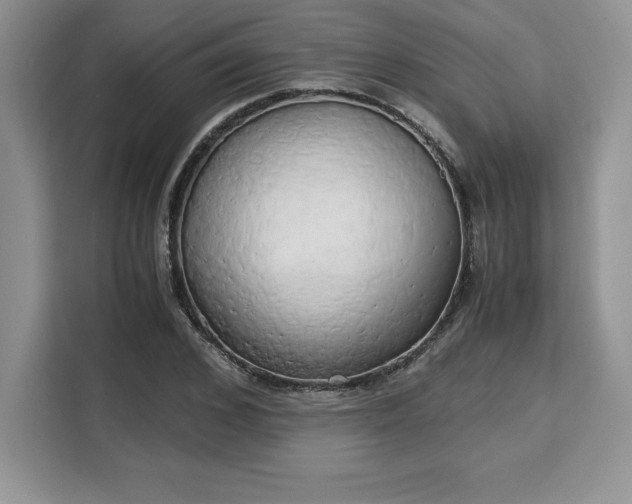 X0000110320976200905211523