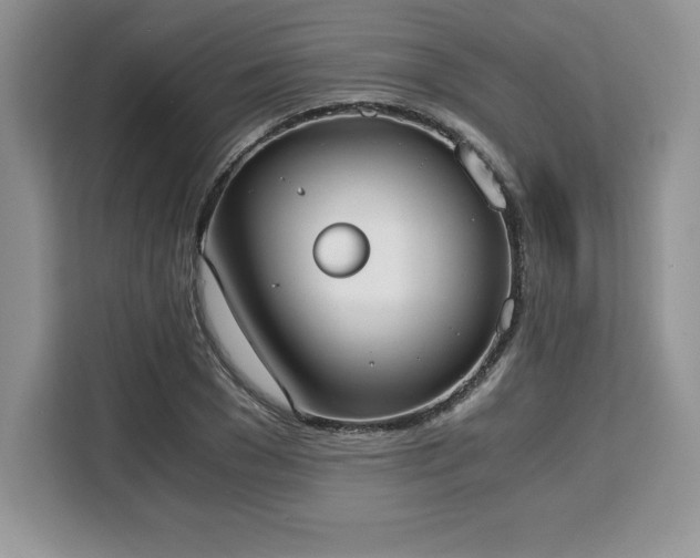 X0000110320977200905211523